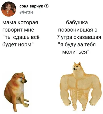 Картинки смешные - выберите размер и формат для скачивания (JPG, PNG)