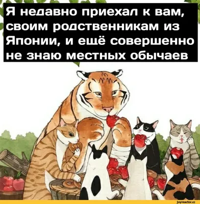 Смешные фото - выберите размер и формат для скачивания (JPG, PNG)