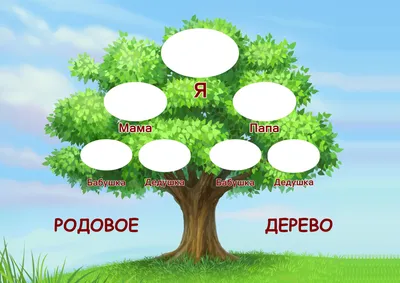 Родственное дерево: фото в высоком разрешении для скачивания (JPG, PNG, WebP)