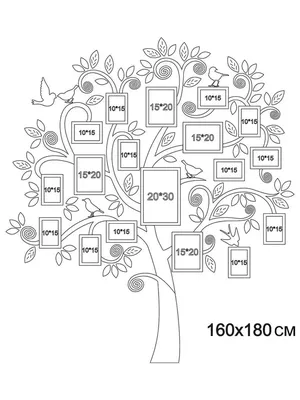 Узоры родства: фотографии родственного дерева