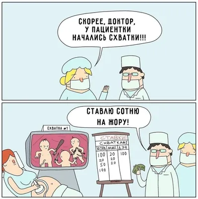 Смешные фото - скачать бесплатно в формате JPG, PNG, WebP