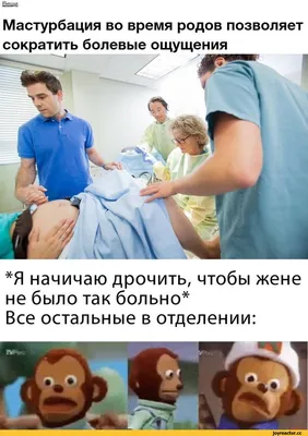 Фото смешные картинки - выбирайте размер и формат для загрузки: JPG, PNG, WebP