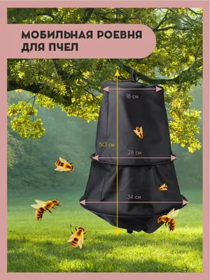 Роевня для пчел на фото: погружение в мир пчеловодства