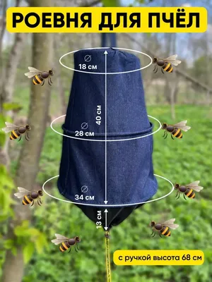 Фото Роевня для пчел: полезная информация о пчелах в картинках