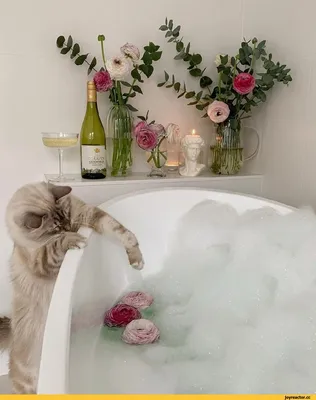 Романтик в ванной: новые изображения для вашей ванной комнаты