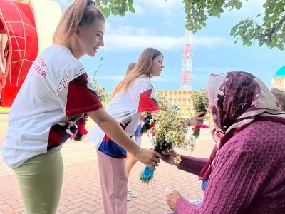 Ромашковое дерево: фото на айфон бесплатно