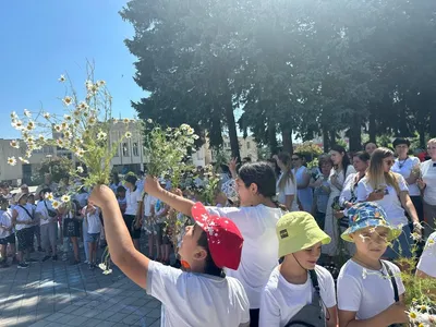 Загадочное ромашковое дерево: фотографии в мистическом стиле