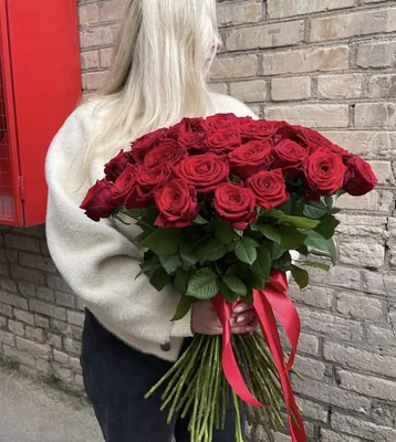 Удивительные фото русской розы: гармония цветов и форм