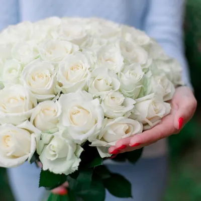 Уникальные фото русской розы: нежность и великолепие в одном