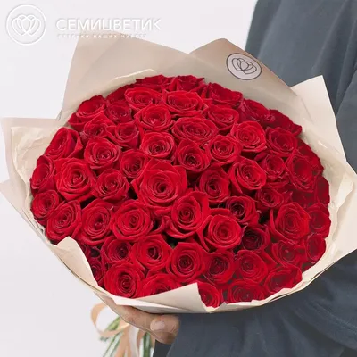 Выберите оптимальный размер русской розы для загрузки