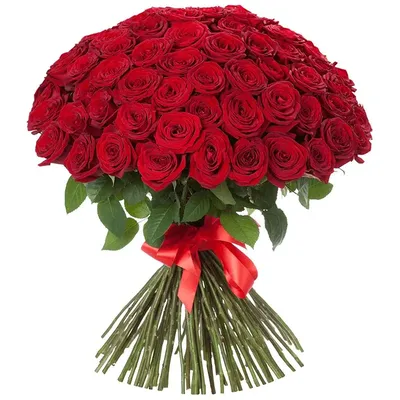 Выберите формат для скачивания фото русской розы