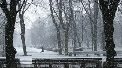 Ростов зимой: скачайте фото в предпочтительном формате