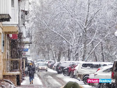 Ростов зимой в изображениях: выберите формат для загрузки