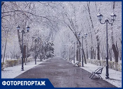 Фото Ростова зимой: изображения в JPG, PNG, WebP для скачивания