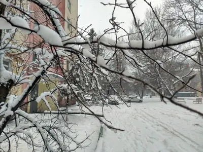 Уникальные зимние фотографии Ростова: скачайте в разных форматах
