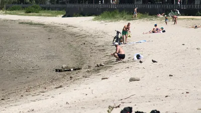 Проведите виртуальную экскурсию по Ростовскому морю через фотографии