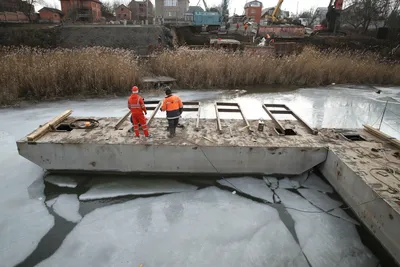 Загадочные рисунки морской жизни в Ростовском море