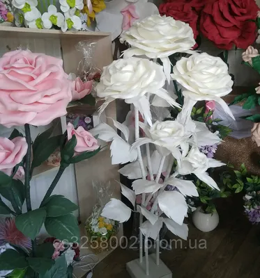 Коллекция фото ростовых роз