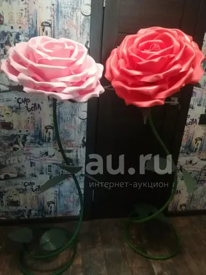 Прекрасные изображения ростовых роз