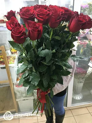 Уникальные фото розы 90 см