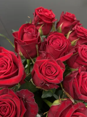 Прекрасные розы 90 см на фото