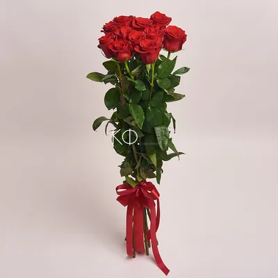 Фото розы 90 см - выбирайте нужный размер и формат