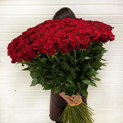 Удивительные фотографии розы 90 см