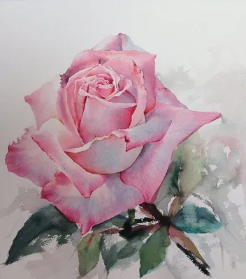 Фото розы акварель с романтической атмосферой