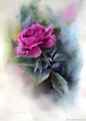 Картинка розы акварель для использования в блоге о цветах
