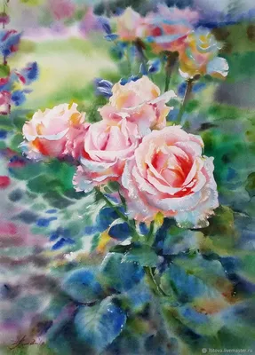 Фотография розы акварель в естественной композиции