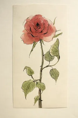 Роза акварель - эстетическое фото для расслабления