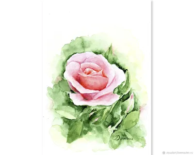 Фото розы акварель с ярким и сочным цветочным тоном