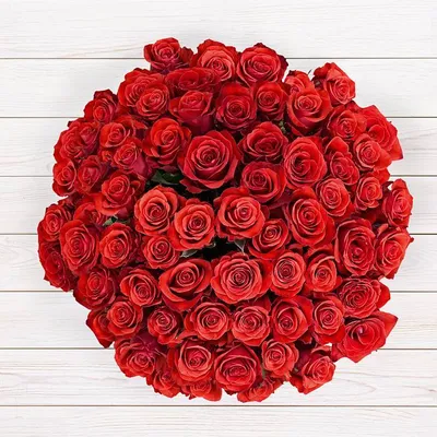 Отличное фото розы альтамира, доступное для загрузки в формате webp
