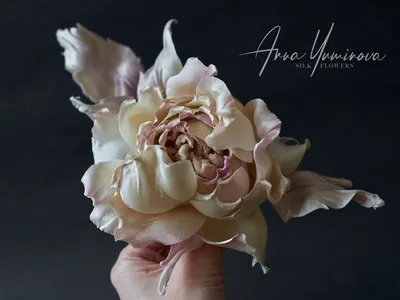 Роза амелия на фото: потрясающий выбор для подарка