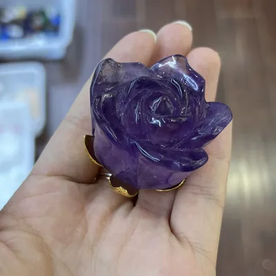 Волшебные оттенки розы аметист: скачайте ее в формате webp и погрузитесь в волшебный мир цветов