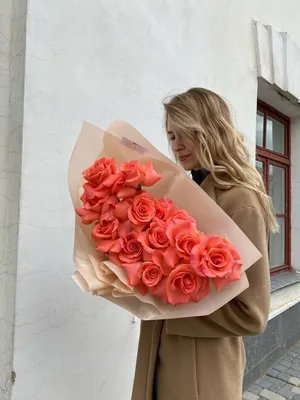 Изображение розы амстердам как произведение искусства