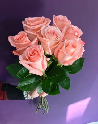 Удивительные фотографии розы ангажемент для влюбленных в цветы