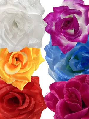 Изображение розы атлас с насыщенными цветами