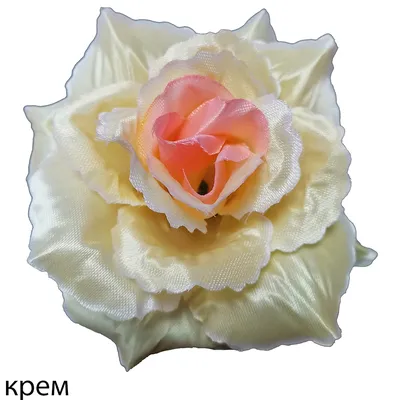 Фото розы атлас в разных размерах