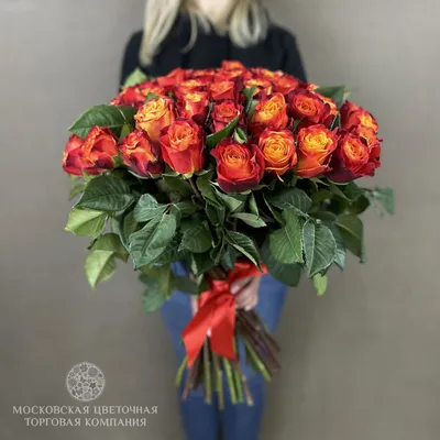 Потрясающая фотография розы атомик размером 2560x1440
