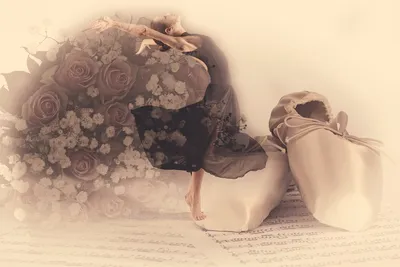 Фото розы балет - легкое и быстрое скачивание в нужном формате