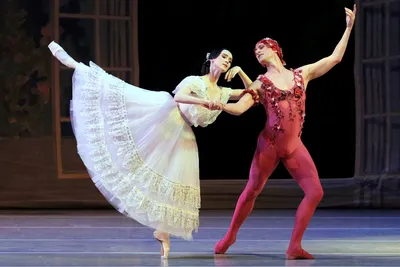 Фото розы балет - красивое дополнение к вашей фотогалерее