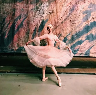 Фотография розы балет - потрясающая красота на вашем экране