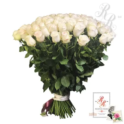 Красивая фотка розы белый медведь: выберите формат