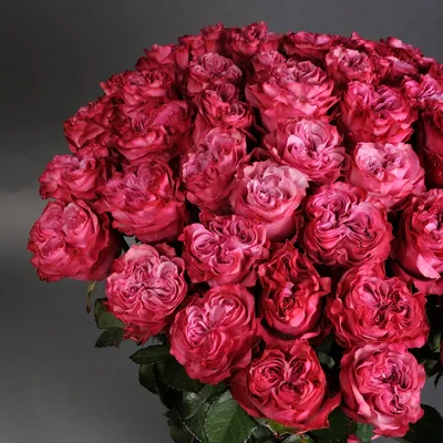 Фотография розы блюз: символ страсти и романтики