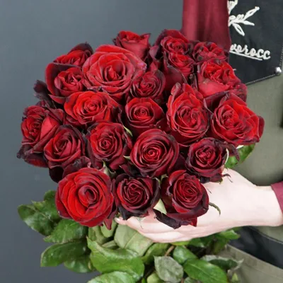 Фотка розы черной магии для загрузки в png
