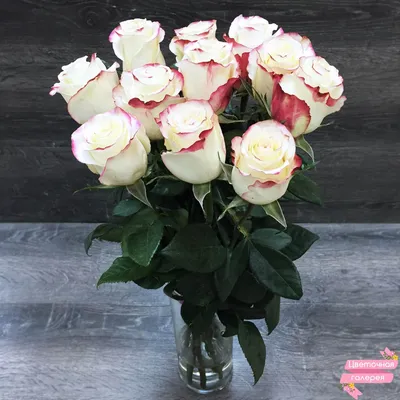 Фотография розы делии с элегантным красным оттенком