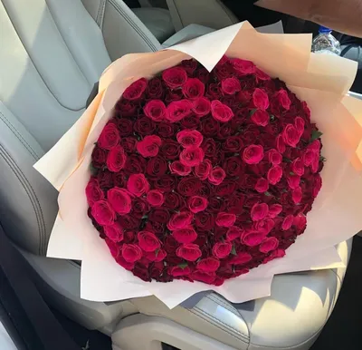 Восхитительные фотографии розы дезире по вашему запросу