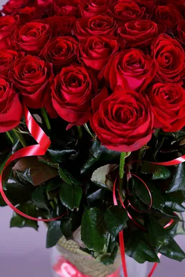 Чудовищные фото розы дезире доступны для загрузки