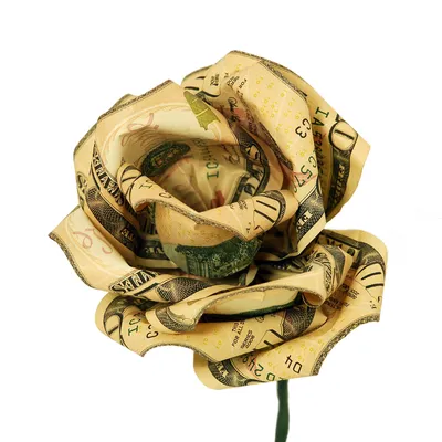 Уникальное изображение розы доллар в формате webp для современных устройств